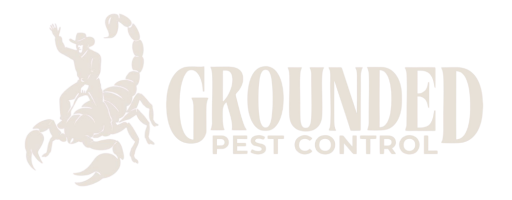 Logo3